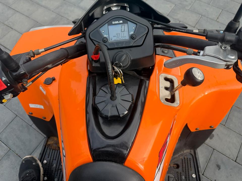  Quad Dealim ET 250 AUTOMATIK Lieferung möglich 2008 — rear view