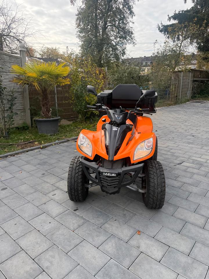  Quad Dealim ET 250 AUTOMATIK Lieferung möglich 2008 — engine 250 ccm