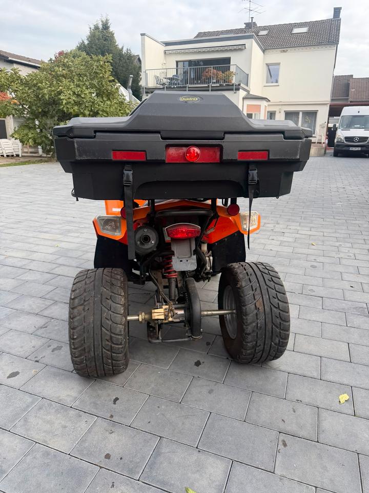  Quad Dealim ET 250 AUTOMATIK Lieferung möglich 2008 — photo 6