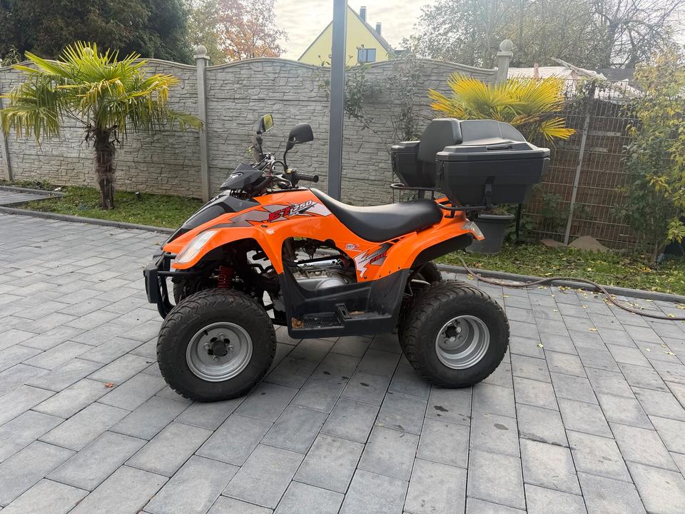  Quad Dealim ET 250 AUTOMATIK Lieferung möglich 2008 — photo 7