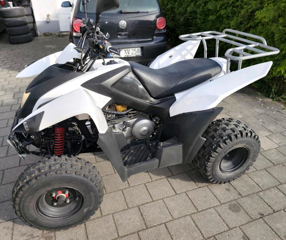  Adly Quad ATV 320 S - TÜV * NEU * 2013 — rear view