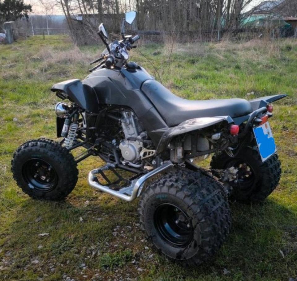 Weitere Motorräder Quad Dinli 450s LOF Zulassung 2 personen zulassung 2012 — rear view