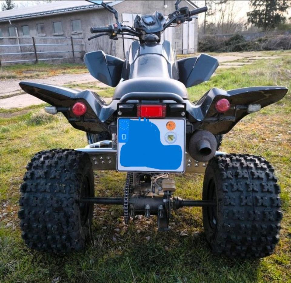 Weitere Motorräder Quad Dinli 450s LOF Zulassung 2 personen zulassung 2012 — interior