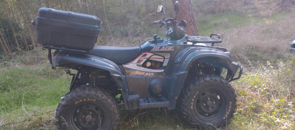 Weitere Motorräder Gelöscht • 2800 € NUR HEUTE - MORGEN WÜRDE ABHOLEN TGB BLADE 550 4X4 LOF 2010 — фото 14