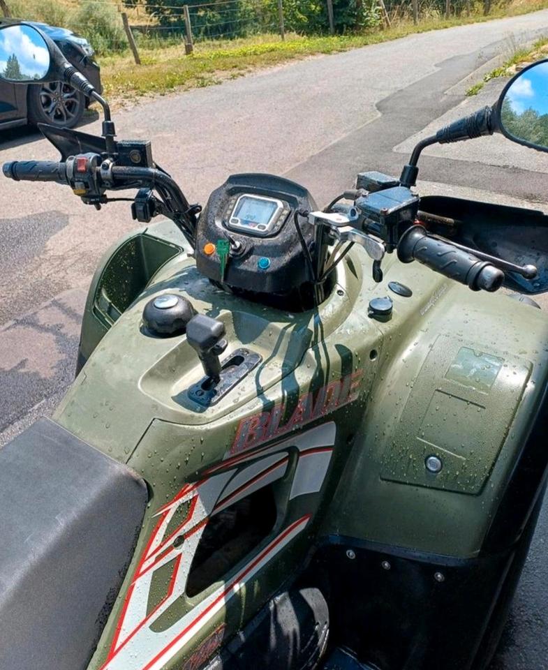 Weitere Motorräder Quad TGB 425 2009 — interior