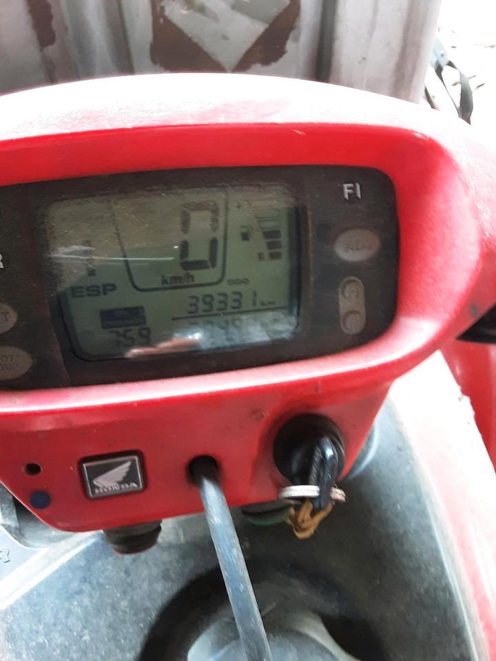Honda 680 quad 2011 — rear view