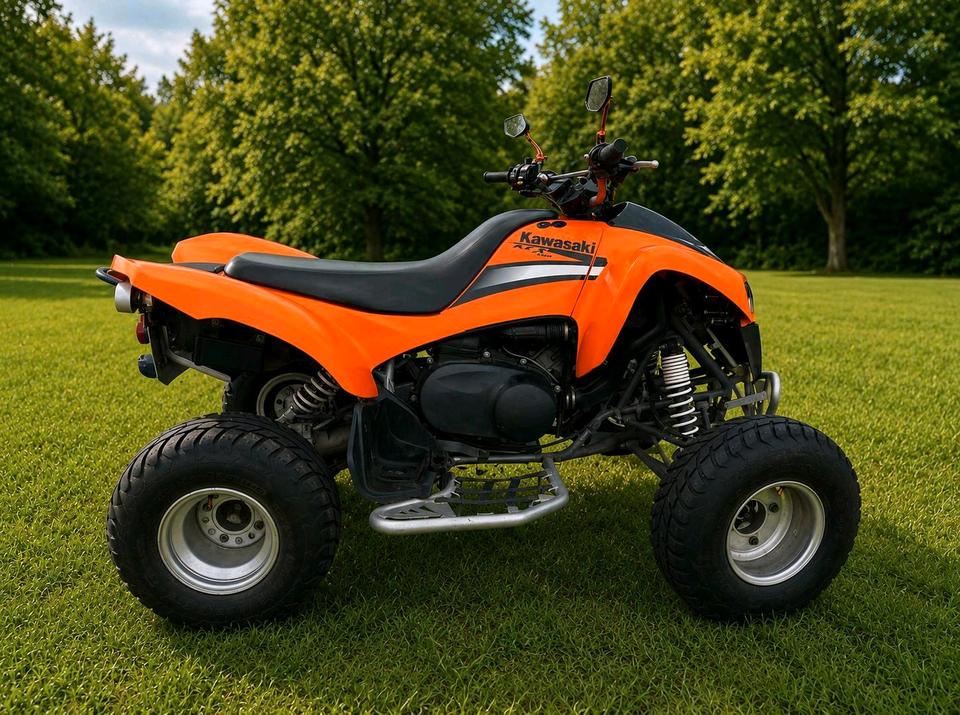 Kawasaki KFX 700 2008 — rear view