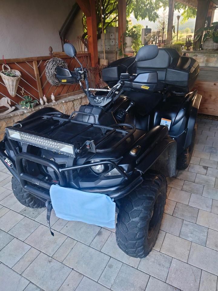 Yamaha Grizzly 700 Special Edition Black Lof Zulassung 2014 — rear view