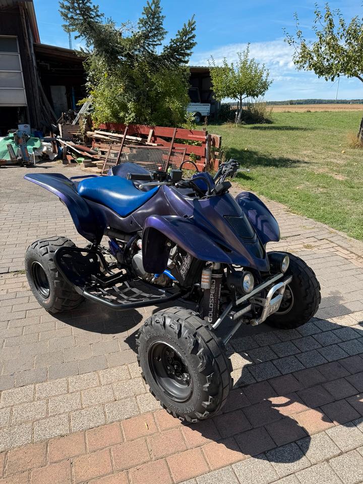 Suzuki Ltz 400 2008 — вигляд ззаду