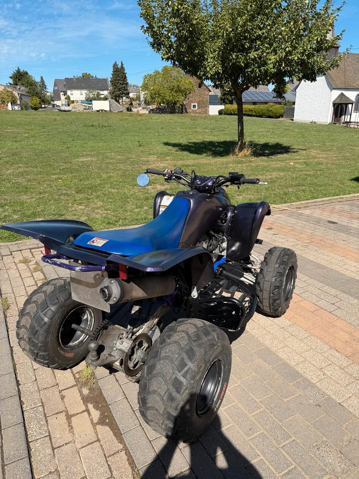 Suzuki Ltz 400 2008 — салон