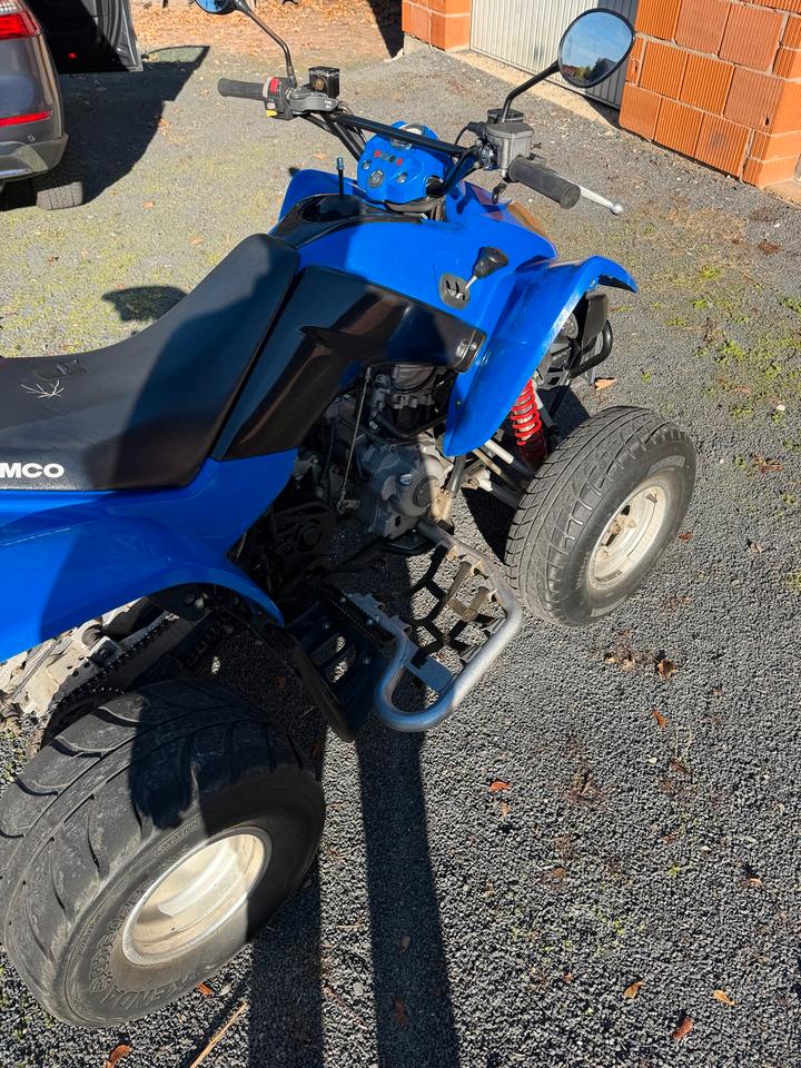 Kymco Maxxer 250 2008 — photo 5