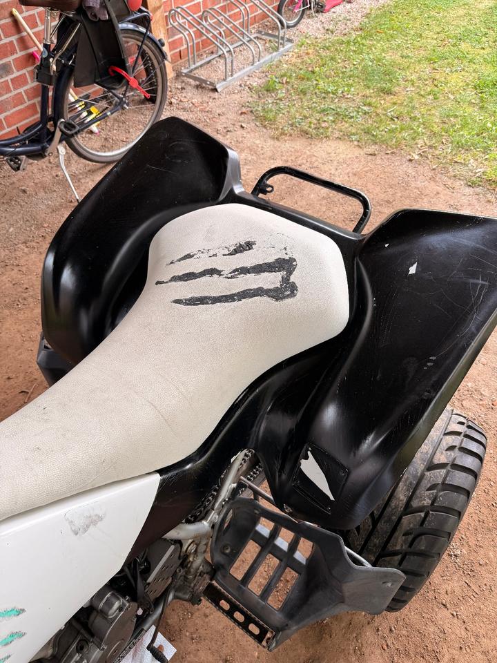 Suzuki Gelöscht • Quad Suzuki LTZ 400 2004 — photo 5