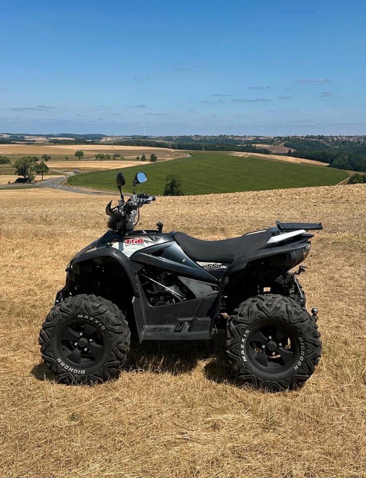 Weitere Motorräder Gelöscht • Quad TGB Target 550 IRS 4x4 LOF / Top Preis 2012 — вигляд ззаду