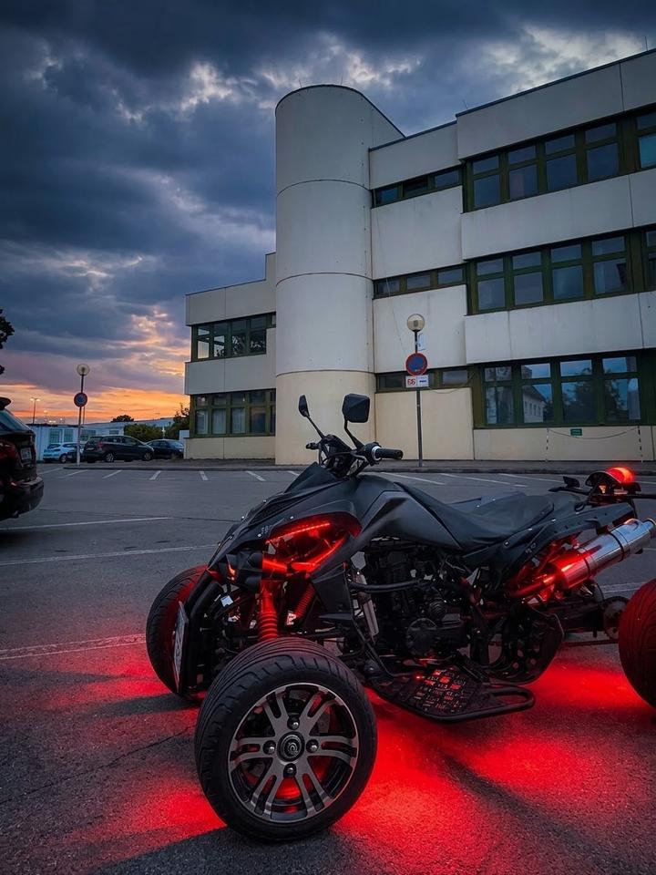 Weitere Motorräder Jingling Quad 2011 — вигляд ззаду