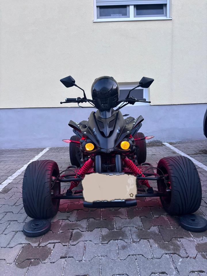 Weitere Motorräder Jingling Quad 2011 — салон