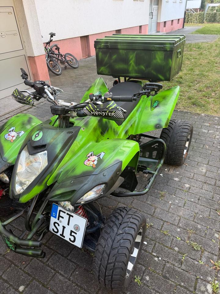  Quad, 500ccm,50 PS LOF,Beeline Bestia 5.5 2012 — rear view