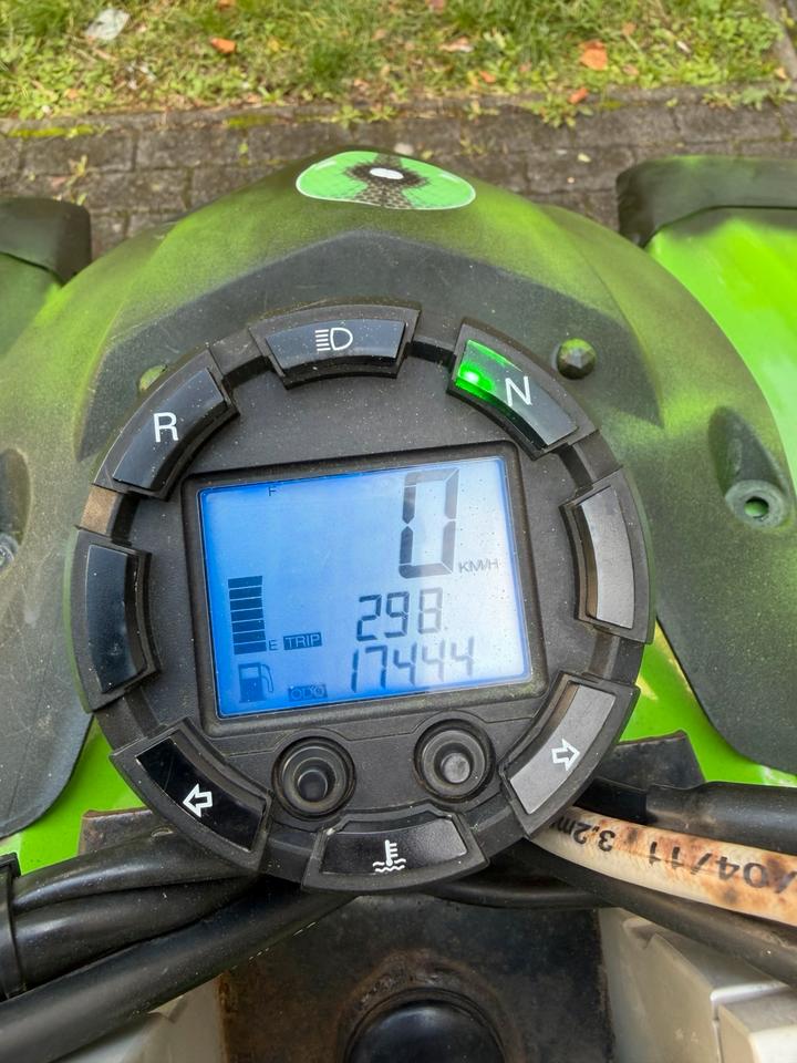 Quad, 500ccm,50 PS LOF,Beeline Bestia 5.5 2012 — photo 6