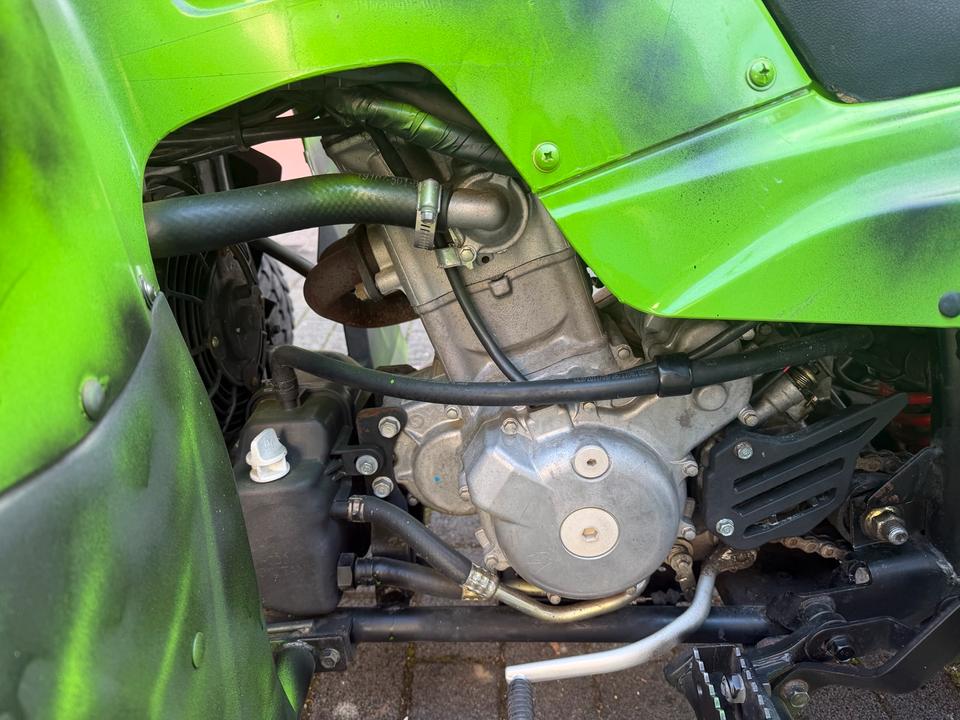  Quad, 500ccm,50 PS LOF,Beeline Bestia 5.5 2012 — photo 7