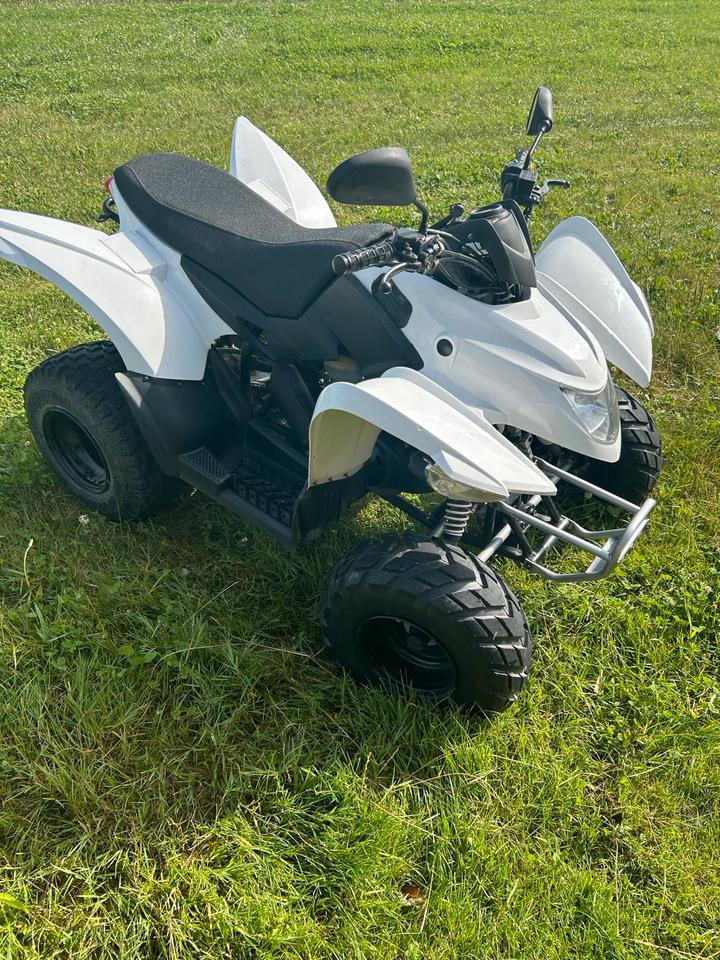  Gelöscht • Aeon cobra 50ccm 2015 — вигляд ззаду