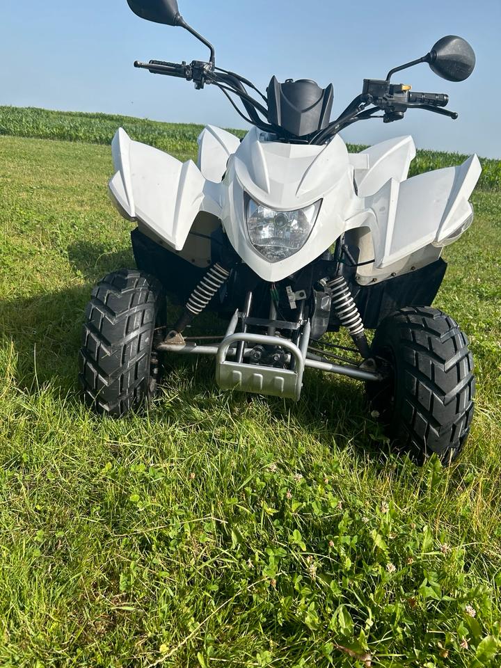  Gelöscht • Aeon cobra 50ccm 2015 — салон