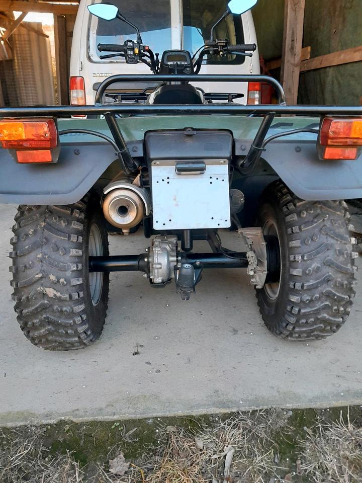 Honda Quad Honda FOURTRAX ES 2004 — rear view