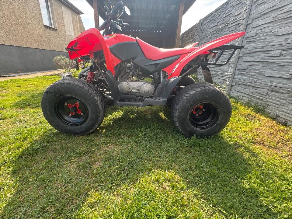  Aeon cobra 220 Quad (Tausch möglich) 2005 — photo 5