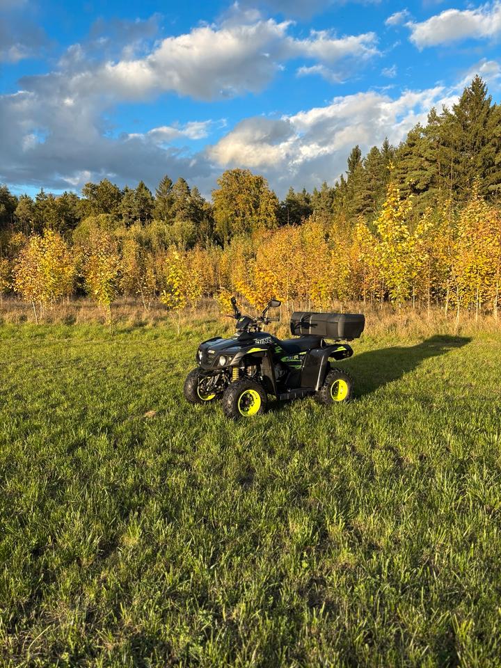 Quad Dinli 450R 2012 — vehicle for AFU Ukraine