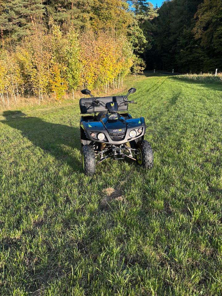  Quad Dinli 450R 2012 — rear view