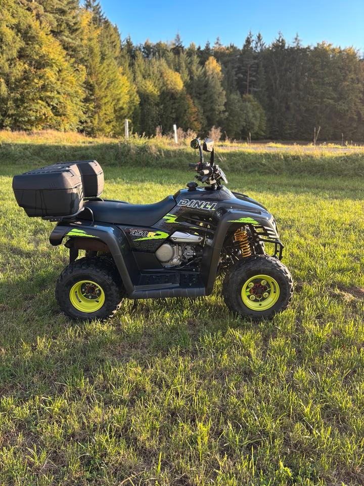 Quad Dinli 450R 2012 — interior
