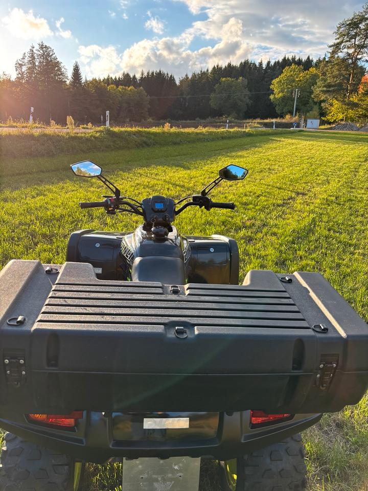  Quad Dinli 450R 2012 — engine 450 ccm