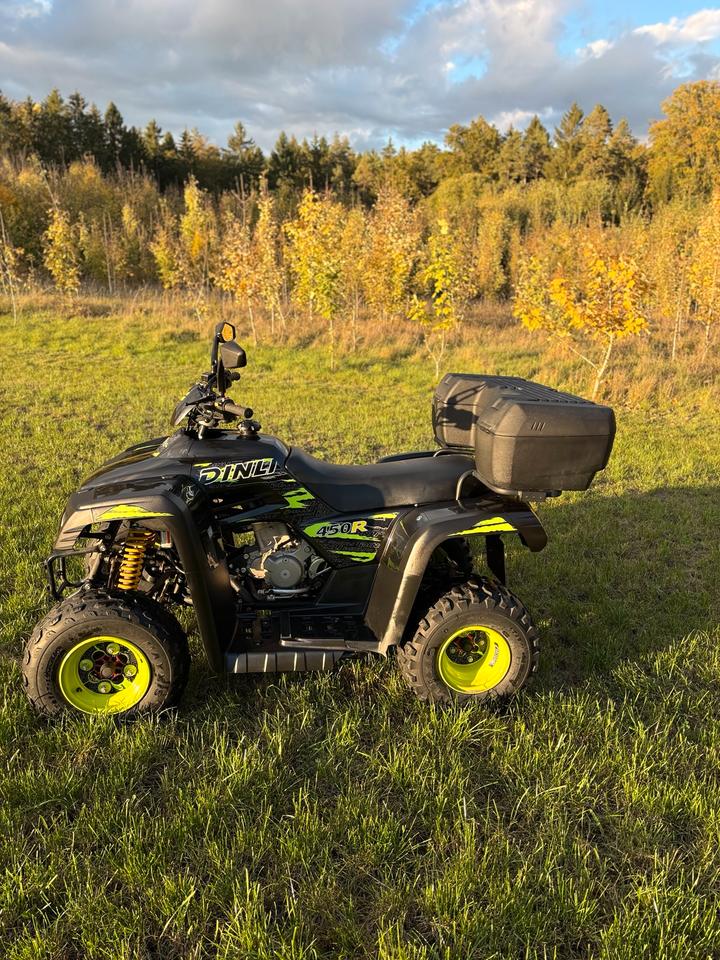  Quad Dinli 450R 2012 — photo 5