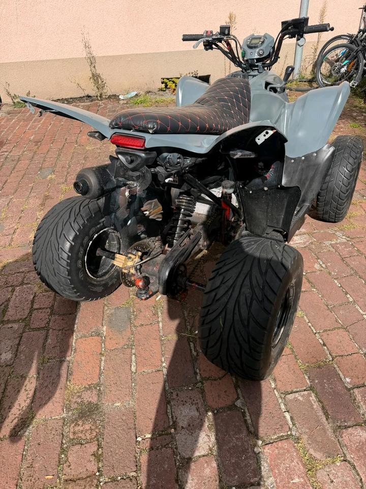 Weitere Motorräder Quad Aeon Cobra 320ccm 2008 — rear view