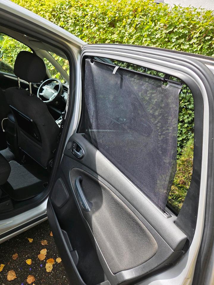 Ford S-Max 2010 — photo 18