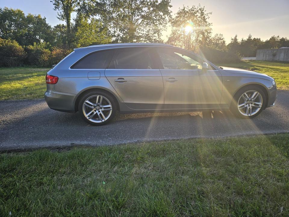Audi A4 2011 — вигляд ззаду