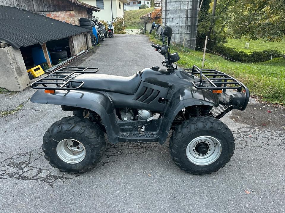 Weitere Motorräder Linhai Ranger 260 Quad 2004 — vehicle for AFU Ukraine