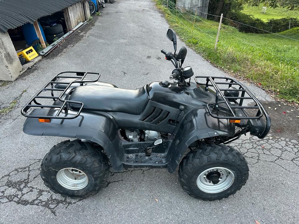 Weitere Motorräder Linhai Ranger 260 Quad 2004 — rear view