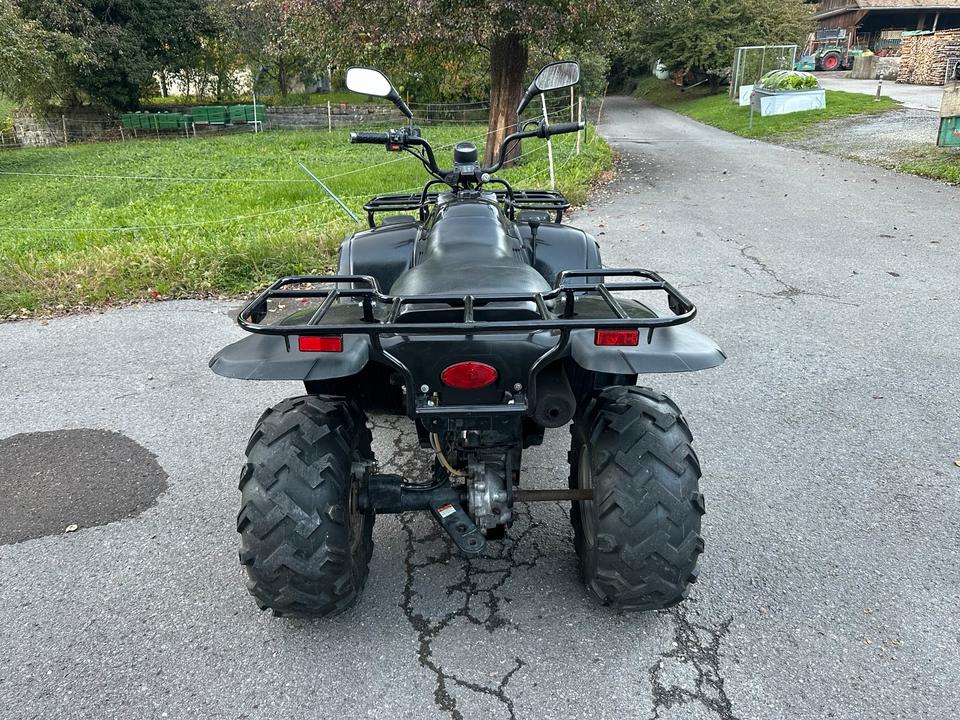 Weitere Motorräder Linhai Ranger 260 Quad 2004 — engine 260 ccm