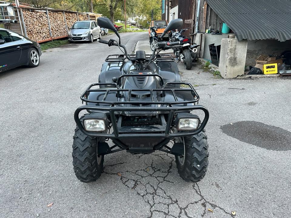 Weitere Motorräder Linhai Ranger 260 Quad 2004 — photo 5