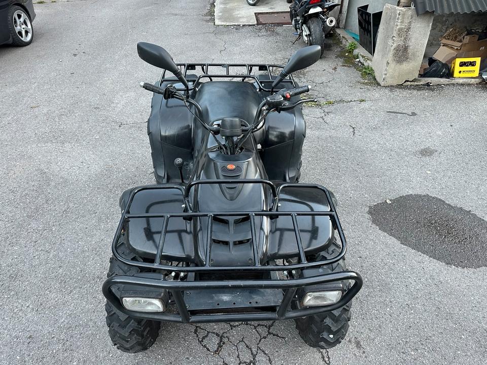 Weitere Motorräder Linhai Ranger 260 Quad 2004 — photo 6