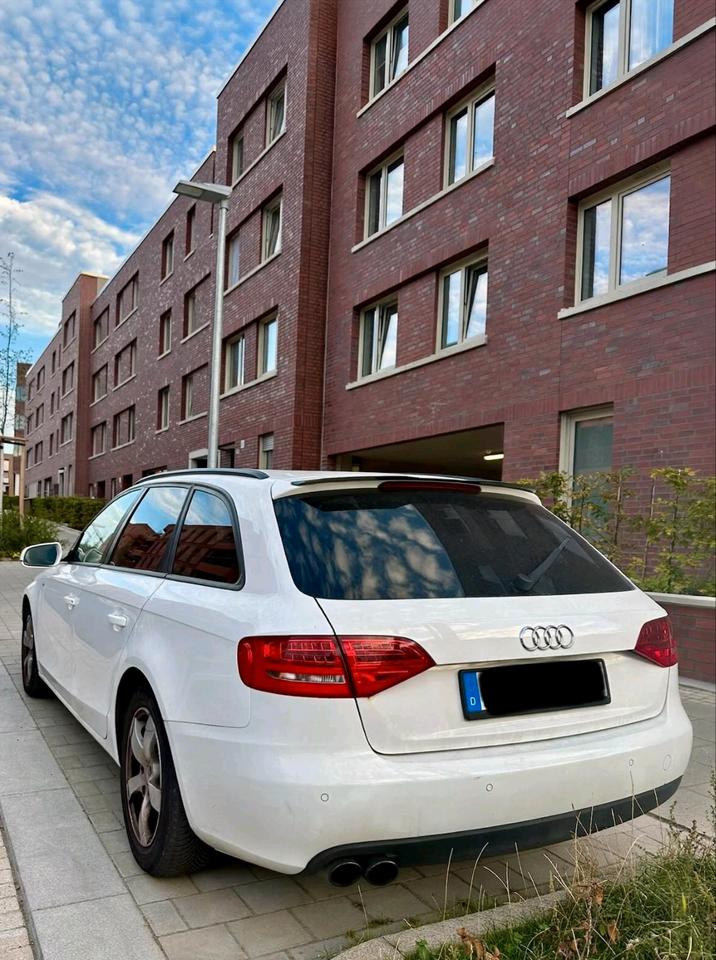 Audi A4 2009 — вигляд ззаду
