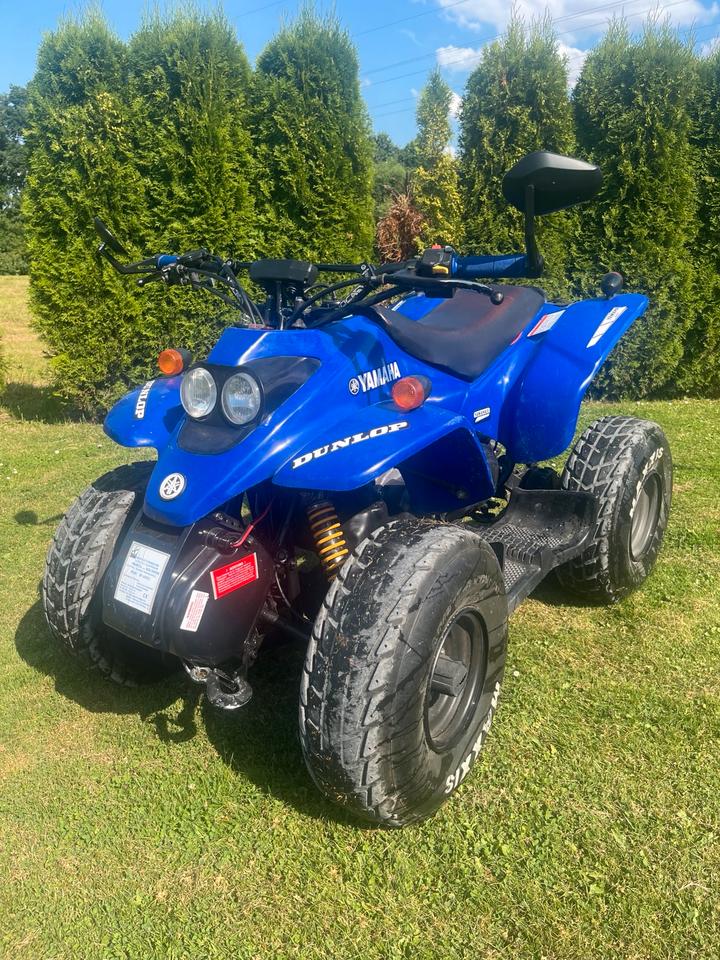  Gelöscht • Quad 50ccm / Straßenzulassung / Läuft 100% 2008 — interior