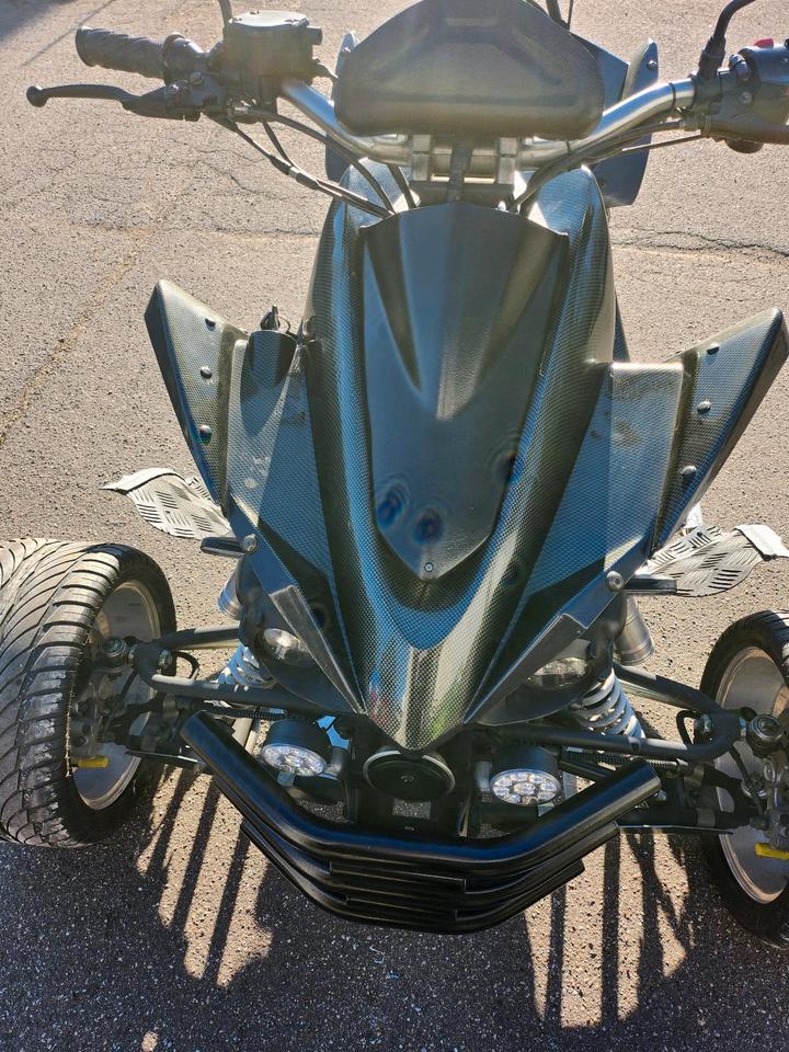 Weitere Motorräder Eglmotor Lyda 203e-7 2010 — rear view