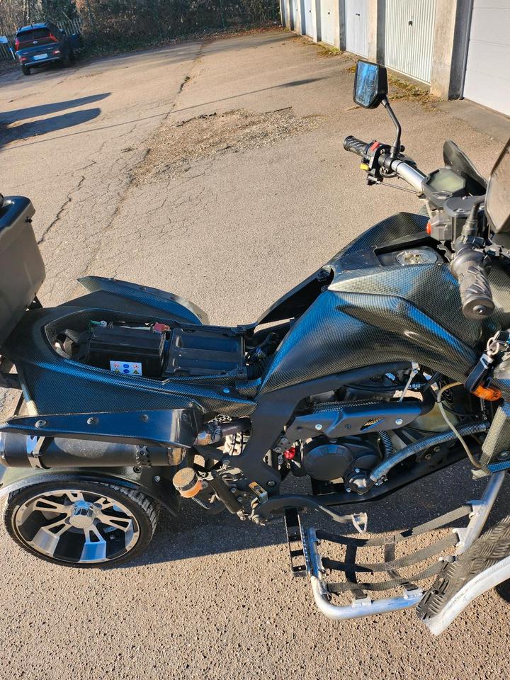 Weitere Motorräder Eglmotor Lyda 203e-7 2010 — engine 249 ccm