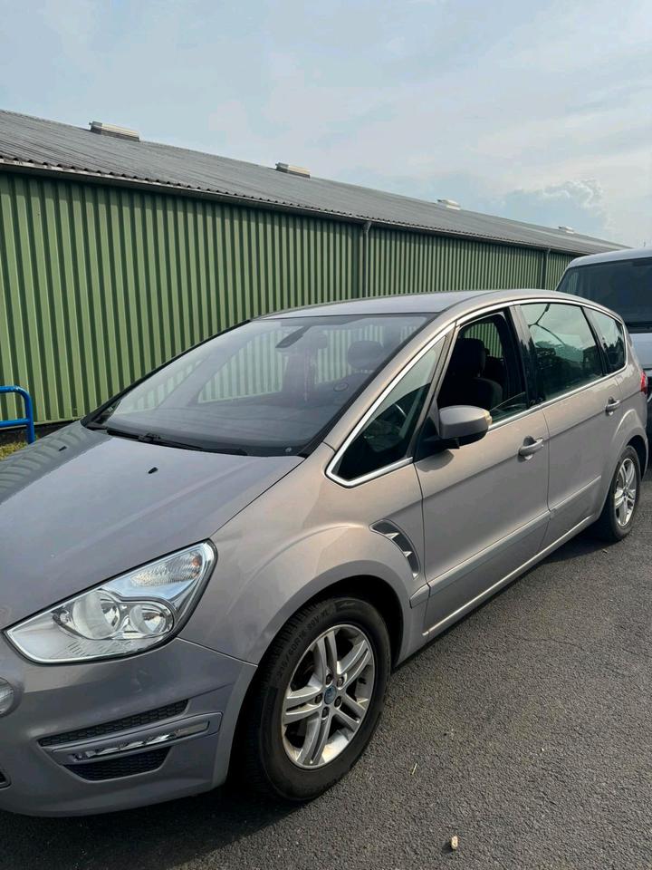 Ford S-Max 2011 — вигляд ззаду