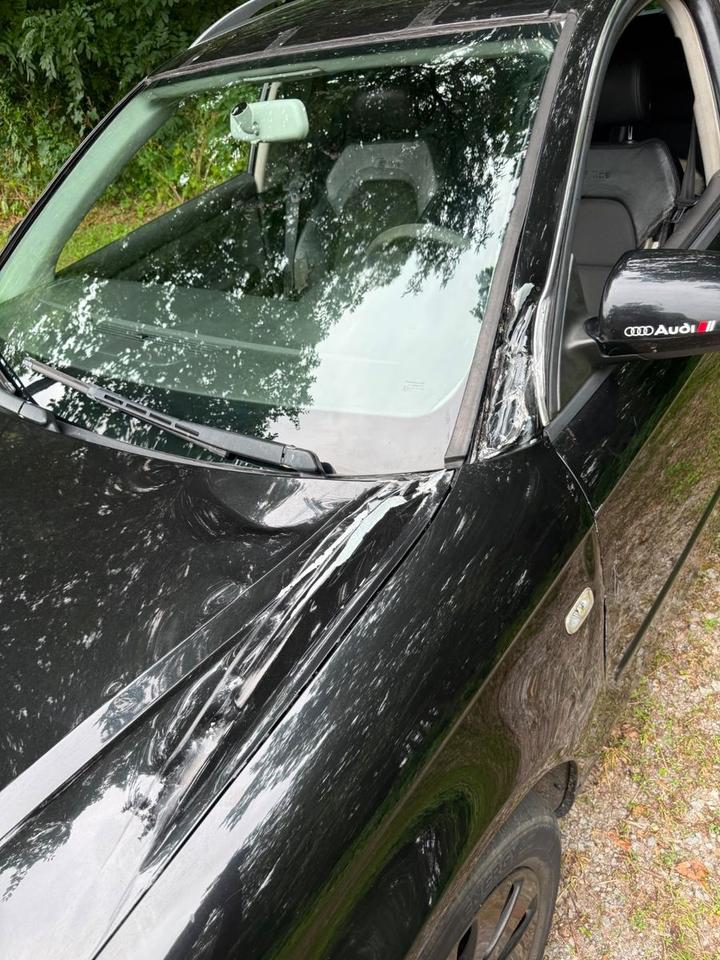 Audi A4 2007 — photo 13