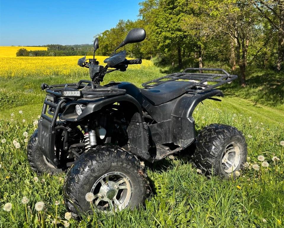 Weitere Motorräder Quad/ATV 250ccm mit TÜV bis 09/2027 2009 — rear view