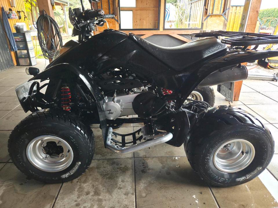Kymco Quad 250ccm 2004 — interior