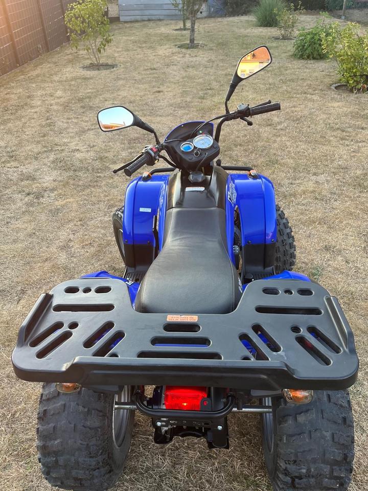 Weitere Motorräder Quad E-Ton Yukon 150 2010 — photo 11