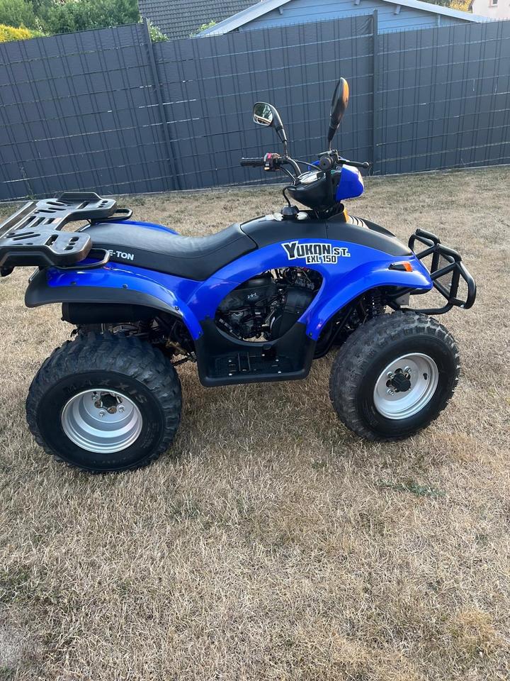 Weitere Motorräder Quad E-Ton Yukon 150 2010 — rear view