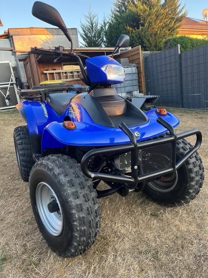 Weitere Motorräder Quad E-Ton Yukon 150 2010 — interior